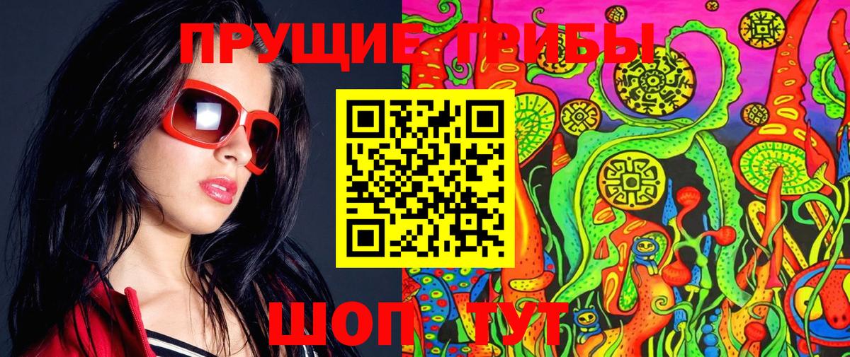 Сибай  Галлюциногенные грибы Psilocybe  Вход с VPN 