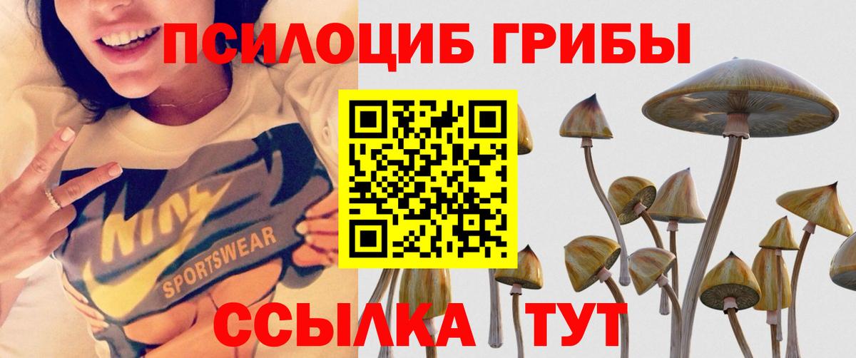 Галлюциногенные грибы мицелий Сибай